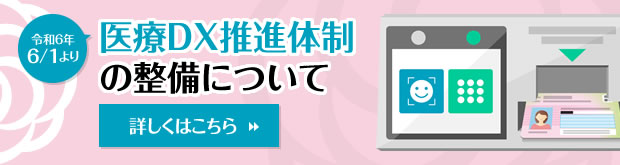 医療DX推進体制の整備について